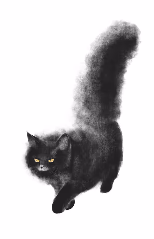 Item #82695799108276642583323751934613913274690371258081772662869305546488875581445 Media