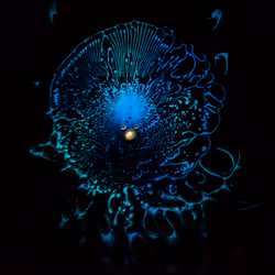 5414944906941611397809813032853610400668176620091167783688987415716051288065