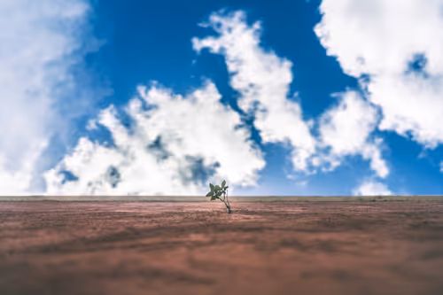 Item #58947618830561656540346244481434689864008869237453581335095038772088756240385 Media