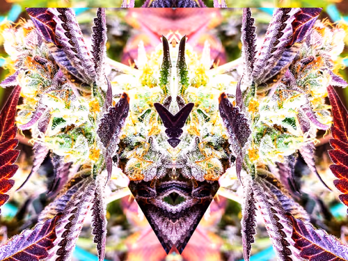 Item #83970981387443879143921485150900069530799783516997234463864977549080959909889 Media