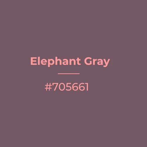 Elephant Gray #705661