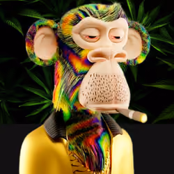 Monkey Biznezz 300/300