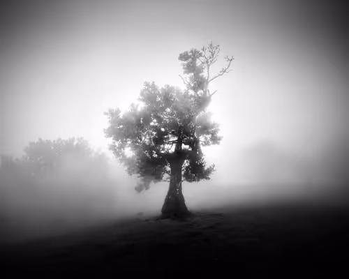 Item #46448320690235251329430811416754344806900568811050689934660167665549607698433 Media