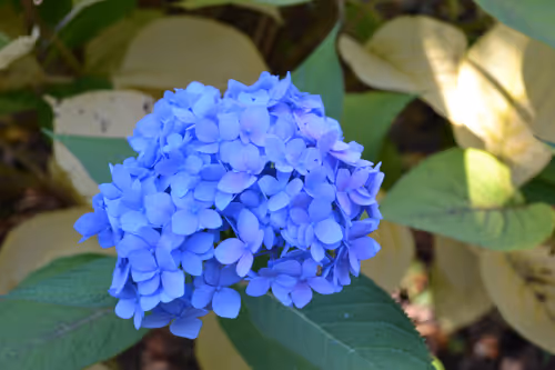 Item #78759855267669757072701224294171613718946034008137005967382106869772807307274 Media