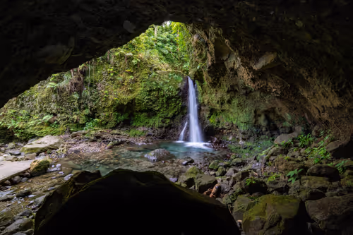 Item #11717075435639617062538583051799023982813876484308334407242089918467416260609 Media