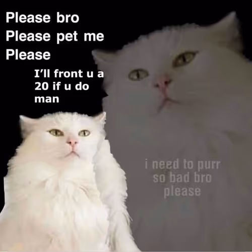 blockchainbeatz Collection - old