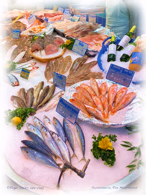 Item #25766228410116791685339336380012731519026805930459738932816938703857519689828 Media