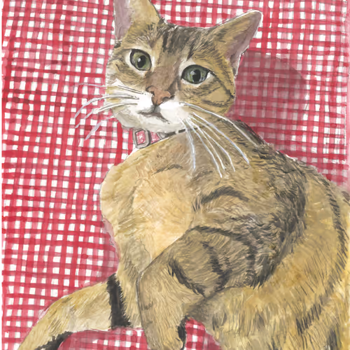 Cat Illustration #19