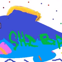 Shiba Whale 3