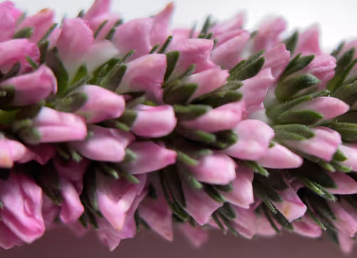 Item #101798116254510798330486236990451841615541533753866395116378150718002274762753 Media