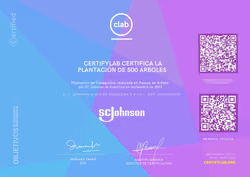 Certified Trees N.1816 SC JOHNSON