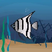 78964944229926021655968168462037545876501657311134209832205588995871181111297