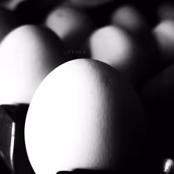 EGG MOON