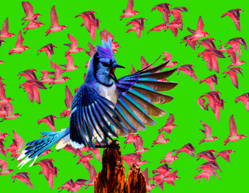 Item #43491420902550312144531220926816905712993913089726861711992935520771497787393 Media