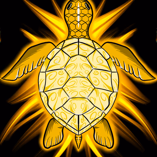Trippy Shell #45