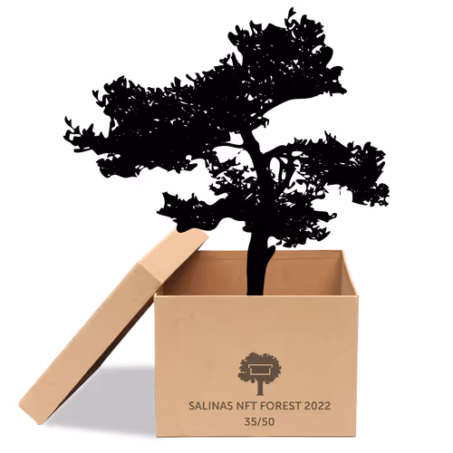 Item #63532776318757439562276927313719991273687356279339277108967620968427280138241 Media