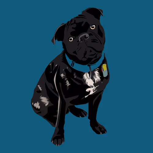 Untitled Collection #62926395 - old