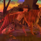 TIGER CENTRIC