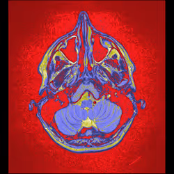 64162533542198579898252916190583583845604629893829087458582975760086157230081