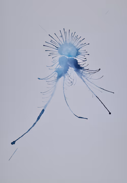 Item #5933605861827810115765458697871522694083350793229885744995134275899176779777 Media