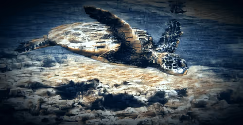 Item #103053869502061589766619055329076968978889786929838480007770308326106666631169 Media