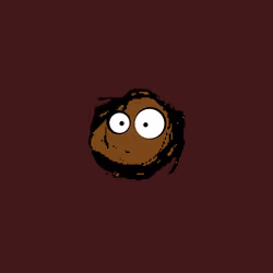 Shingy 595