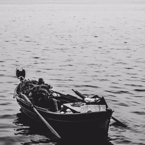 692228807633545716775757127906681102618653973765444029041337461233510514689