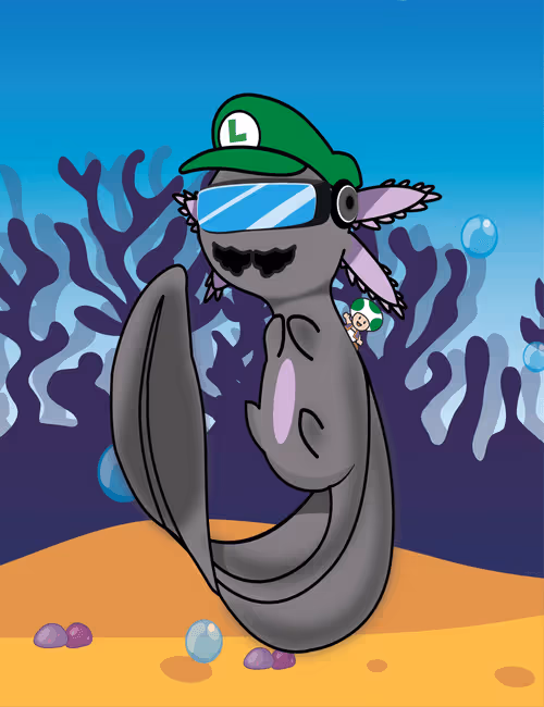 Item #34072945704437276950659319959470324731569279509070198018193656357297049305089 Media