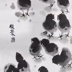 Junhao #8