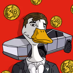 Elon Ducks