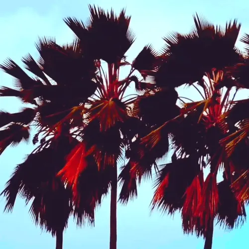 Item #19755943560703832549694930259889174281342606690861395808005517936543827755009 Media