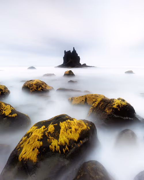 Item #13530196008563854885734701645489239893445931623828964503452581744402331860993 Media