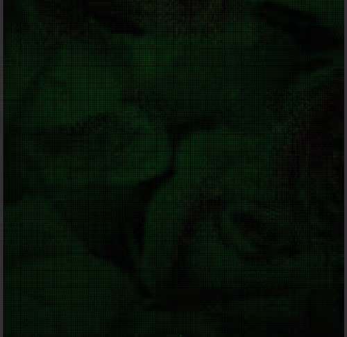 Item #20934789157980051538547438060703325984479248616101493732384175168470625812481 Media