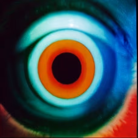 Item #88631356893158652144967614704401008380221966316906107197756520650224986750977 Media