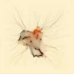 74011109513159304894558377152860080667648997857135590135513699150562666217473