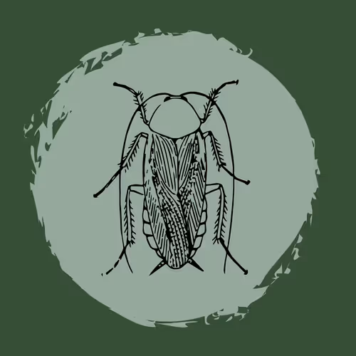 Item #79067907305230177002014129353343413869651970885450883453575323015362222489601 Media