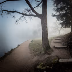 25573978224658262665972962704088248343530763356881376954458529740755302350948