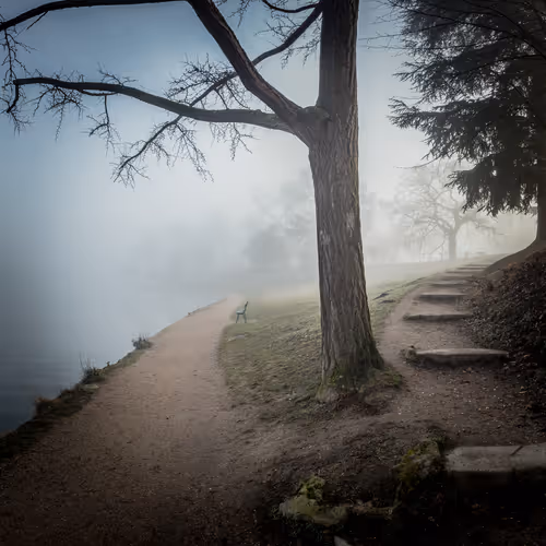 Item #25573978224658262665972962704088248343530763356881376954458529740755302350948 Media