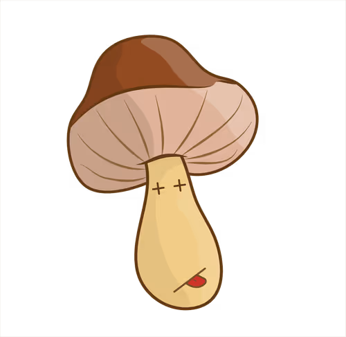 Item #82793807533074803550559074412293794782293997573157595909210745705065877602305 Media