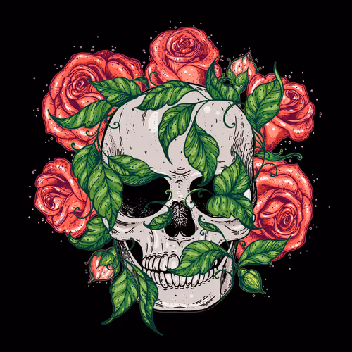 Item #28643270095657699598363278030462683753613169785813229951405121091432263712769 Media