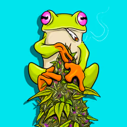 cannafrog #1