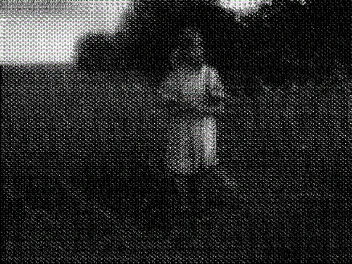 Item #65033471295990105292863051236151584237795401292805181333653600471647027986433 Media