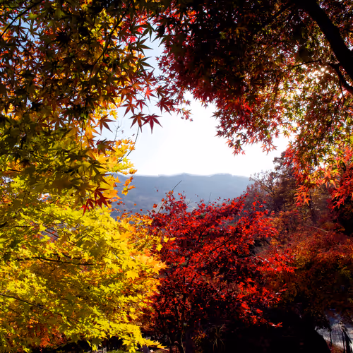 15099377614674255729827518037484709840880486279639044345484425431319670947841