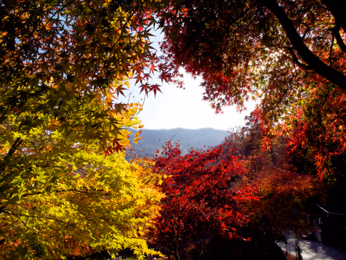 Item #15099377614674255729827518037484709840880486279639044345484425431319670947841 Media