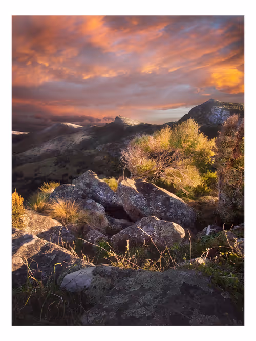 Item #113391420929209941219598099572508675076097289829558384042967582038358952509441 Media