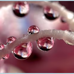Rain drop 19