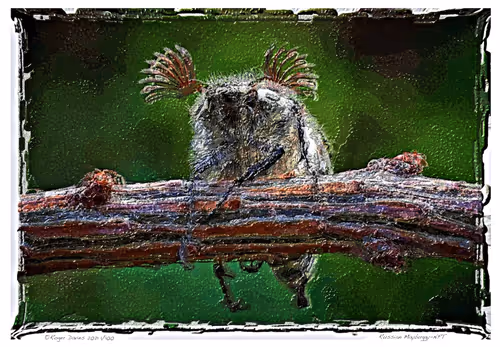 Item #6968899724388266606176016145545160509277227480062482001621938906366990090340 Media