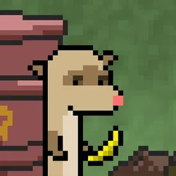 CryptoFerret #11