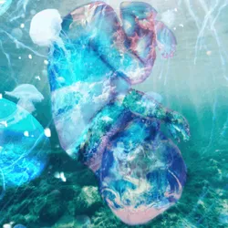 49004350422641323964216046610938913056030361365335976996740690330820752179201