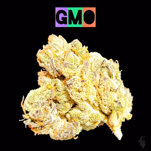 Item #87689570283297516471900235800511228078692535605346005540316604156517428494337 Media